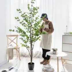 シミュレーション 緑の植物 装飾 和鈴 植物 馬酔木 衣料品店 屋内 リビングルーム 装飾 フェイクツリー 床 鉢植え