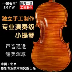 ヨーロッパ素材のバイオリンを使用したイタリアから輸入したプロの演奏家による独自の手作りバイオリン ガルネリス