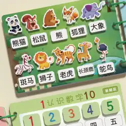 ベビーリテラシーパズルボード 漢字リテラシーカード 幼稚園 早期教育 2 平らな図 4 子供の知育玩具 3歳から6歳