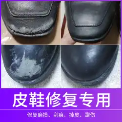 黒の靴磨き、革靴、壊れた肌、磨耗修理クリーム、改装された自己塗装の靴のアッパーの剥がれ、塗装の修理、色の修理、傷や色の修理