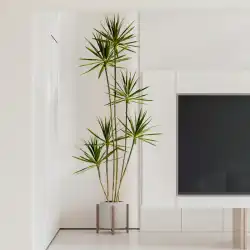 ライトラグジュアリーシミュレーショングリーンリュウゼツラン偽の木植物鉢植え屋内リビングルームの装飾家の床盆栽の装飾品
