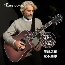 Rosen Lusen G12Pro フォークギター 初心者 女の子 男の子 特殊表面材突き板 入門用 木製ギター 正規品