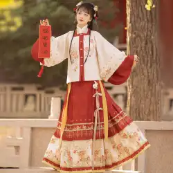 元ウサギのようなブロケードオリジナルの冬の肥厚漢服の女性の中国風の馬の顔のスカートのウサギの正月新年の衣装フルセット