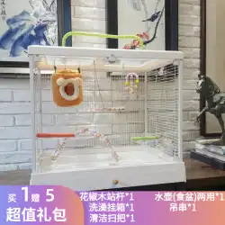 ダヤン大型高透明観賞用ガラス鳥かご家庭用オウムケージヴィラ虎皮牡丹 Xuanfeng B6001