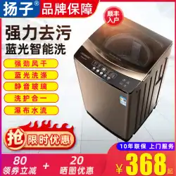 揚子洗濯機 全自動 家庭用 ウェーブホイール 小溶出 一体型洗濯機 レンタル寮 10kg