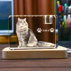 ペットの写真 カスタム クリスタル 3D 内彫り 記念品 装飾 収納 犬 猫 ヘアスパー パンチング用に予約