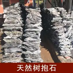 起源 Qinglong 石天然英語石水槽造園石ラッキー ツリー抱き木石リビング ルーム盆栽デスクトップ装飾