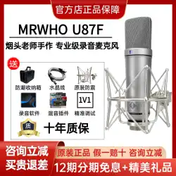 MRWHO U87-F ラージ ダイアフラム コンデンサー 有線マイク カーディオイド ポインティング 歌唱 ライブ ネットワーク アンカー 推奨