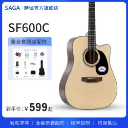 sagasf600 サガス フラッグシップ 本物 初心者 民謡 少年少女 アコースティック エレキボックス アコースティックギター 700