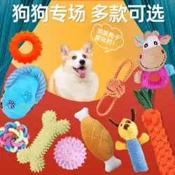 犬のおもちゃ咬傷耐性子犬退屈緩和アーティファクトモルスティックビションコーギーテディ小型犬子犬ペット用品