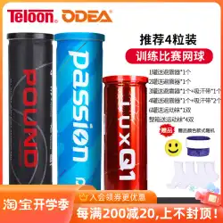 Teloon Tianlong Tennis P4 ポンド 4粒缶入り 高弾性・耐圧 缶入り ゲームトレーニングボール