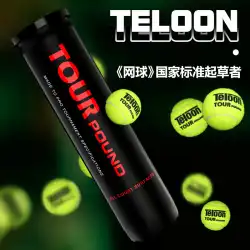 Tianlong Tennis POUND プロ用試合球 大人用 特訓球 テニス アクセサリー P3P4Q1 バレル 1 リッスン