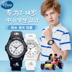 ディズニー 子供時計 男の子 男の子 防水 小学生 男の子 6歳 中学生 電子ポインター クォーツ 腕時計