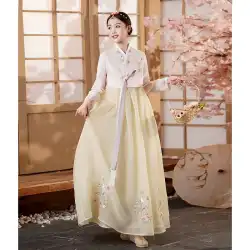 韓服、韓服、少数民族服、大昌津舞踊公演服、延吉結婚式韓国式スカート