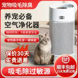 アンデルマイ アレルゲンを除去 ペット吸引 浮遊猫の毛 空気清浄機 家庭用 脱臭 ホコリ 脱臭清浄機