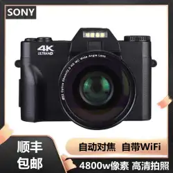 ソニー 4k HD デジカメ 学生 初心者 マイクロ シングルカメラ 家庭用 小型 一眼レフ トラベルカメラ
