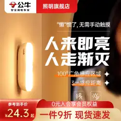 ブルスマート人体誘導ランプ小さなナイトランプホームベッドルームベッドサイド夜の通路のトイレから充電人が明るくなる