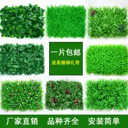 シミュレーション植物壁緑の植物人工芝リビングルームプラスチックフェイクフラワードアヘッドバルコニー背景壁装飾草