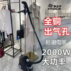 Xiyunlai 蒸気ぶら下げアイロン機商業アイロン服特別垂直家庭用衣料品店ハイパワーアイロンアイロン機