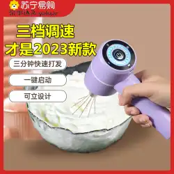 Rongshida 自動卵ビーター家庭用クリーム機ミニ送信攪拌スティック電動ベーキングケーキ 1126
