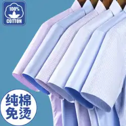 夏 コットン ノーアイロン メンズ 半袖 シャツ ビジネス カジュアル ストライプ 半袖 シャツ 大きいサイズ ワンピ 刺繍 ロゴ