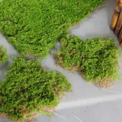 コケ皮コケブロックコケ植毛装飾ソフト装飾築山芝芝生ヘアストーンシミュレーションコケブロック