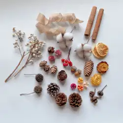シミュレーションクリスマス装飾自然乾燥松ぼっくりシナモン DIY 素材写真撮影の小道具配置綿アート花輪アクセサリー