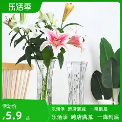 クリエイティブな大型透明六角ガラス花瓶水文化豊かな竹ユリの花の花瓶ホームリビングルームの装飾