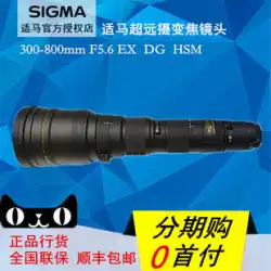 SIGMA 300-800mm f/5.6 EX DG HSMレンズ 超望遠ズームレンズ