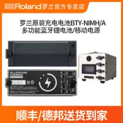 ローランド スピーカーEX リチウム電池 モバイル電源アダプター PSA-220S Bluetooth充電 AC33 BA330 オーディオ
