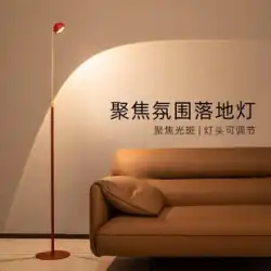 フロアランプ リビングルーム ライト 高級 ソファー 読書 釣りランプ 寝室 縦型 ベッドサイド 雰囲気 デザイナーズ 光と影ランプ