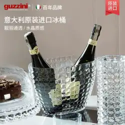 グッツィーニ イタリア輸入バー アウトドアライト ラグジュアリー クリエイティブ ドライアイスバケツ 赤ワイン シャンパン アイスバケツ