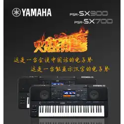 【飛雲楽器】YAMAHA ヤマハ電子オルガン PSR-SX900/700/600 アレンジ鍵盤 大人