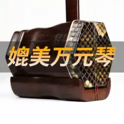 Zhengyintang 二胡楽器古いマホガニー本物の 10 年生プロのパフォーマンス蘇州工場直販試験級大音量
