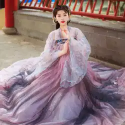 漢服の妖精の衣装古代衣装大人改良された韓服の女性の中国風の刺繍花胸スカート スーツ パフォーマンス衣装