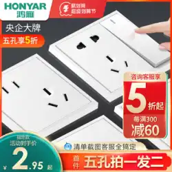Hongyan 公式旗艦店スイッチ ソケット パネル多孔質 86 タイプ家庭用隠し 5 穴ソケット スイッチ USB