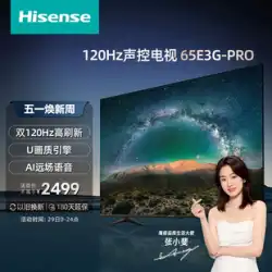 ハイセンス 65E3G-PRO 65 インチ AI 音声起動 TV 4K HD フルスクリーン 120Hz 手ぶれ補正 TV 75