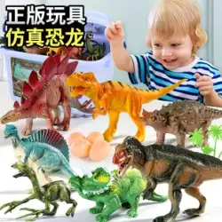 恐竜のおもちゃの少年大ティラノサウルスレックスソフトラバーシミュレーション動物モデルフルセットの子供のギフトパズル 34 男の子