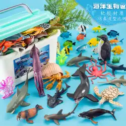 シミュレーション海洋動物のおもちゃ生物サメ イルカ 3 子供 4 クジラ柔らかいゴム少年水中世界の魚モデル