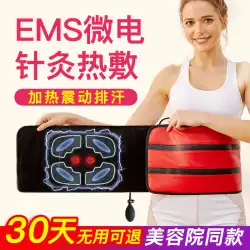 EMS マイクロ電気鍼ベルト振動加熱マッサージ美容院低周波生体電気パルス器具温湿布振動