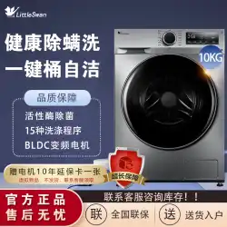 リトルスワン ドラム式洗濯機 全自動 家庭用 インテリジェント 大容量 10kg TG100VT096WDG-Y1T