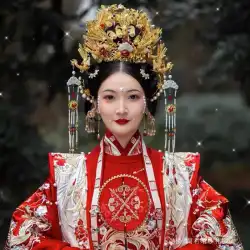 [レンタル] 13 人以上のカルダモン子供 Luanfeng と Mingming 漢服女性の結婚式の服漢の結婚式の結婚式の冬