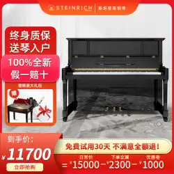 スタンリッチ STEINRICH 日本の新縦126高プロ試験級演奏の本格ピアニスト