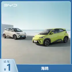【元試乗】BYDシーガル新エネルギー車新型車両
