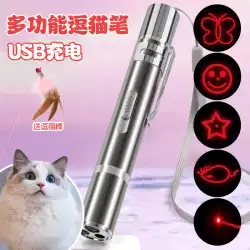 レーザーポインター からかい猫ペン 赤外線懐中電灯 レーザーライト レーザーライト からかい猫スティック オーロラグリーンライト 長距離強力光 射撃ペン インジケーターペン USB充電 からかい猫スティック 多機能子猫おもちゃカスタマイズ