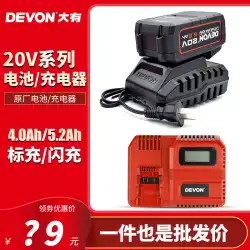 Dayou 20V リチウム電池充電器 4.0/5.2Ah 電動レンチ 5733/5401/2903 Dayou 電動工具