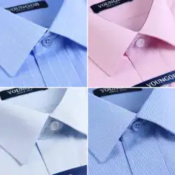 Youngor 半袖シャツ メンズ 夏 DP ノーアイロン 公式旗艦店 ビジネス カジュアル ドレス ストライプ 白シャツ