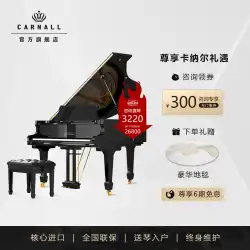 カナル/CARNALL ファントムシリーズ クラシックホームグランドピアノ ドイツブランド高級ピアニストホーム