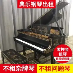 上海ゼロデポジットレンタルピアノ販売用レンタルホームプロ演奏レベル垂直三角形珠江ヘレンかわいい