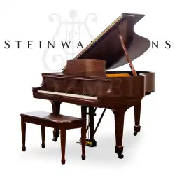 アメリカオリジナル中古グランドピアノ スタインウェイ&amp;サンズ ハイエンドホームプロフェッショナルパフォーマンス M170
